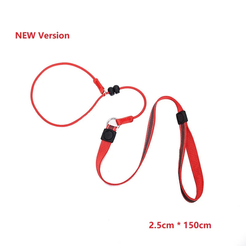 Training Dog Choking Rope Leash 2 In 1 Lead Collar