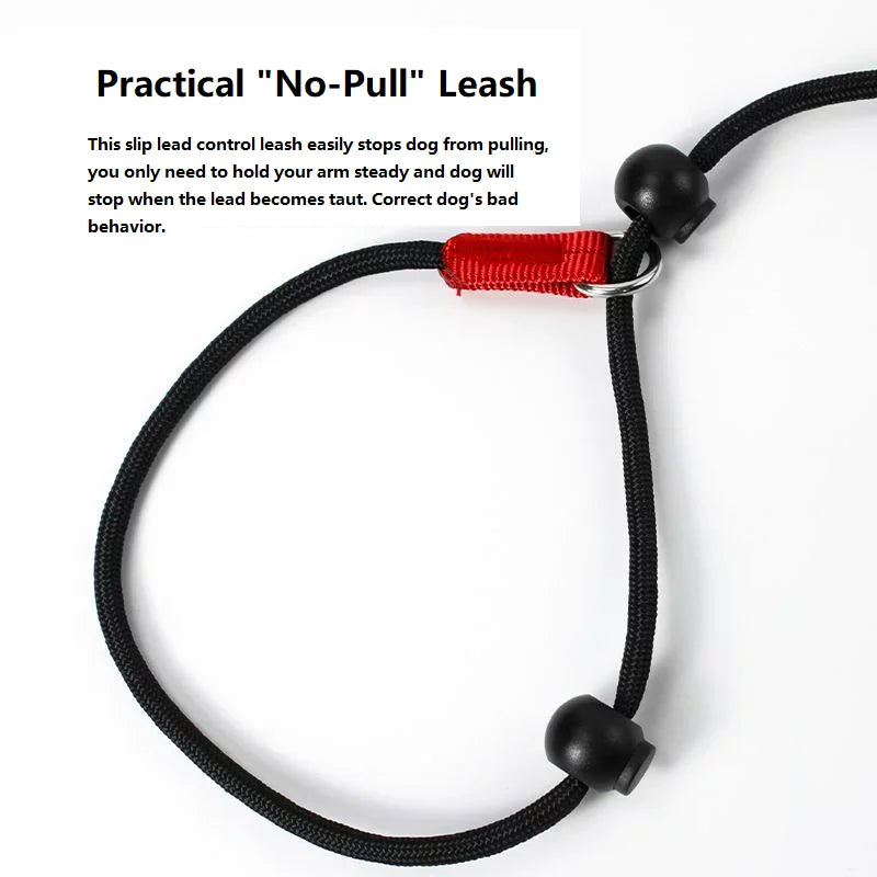 Training Dog Choking Rope Leash 2 In 1 Lead Collar