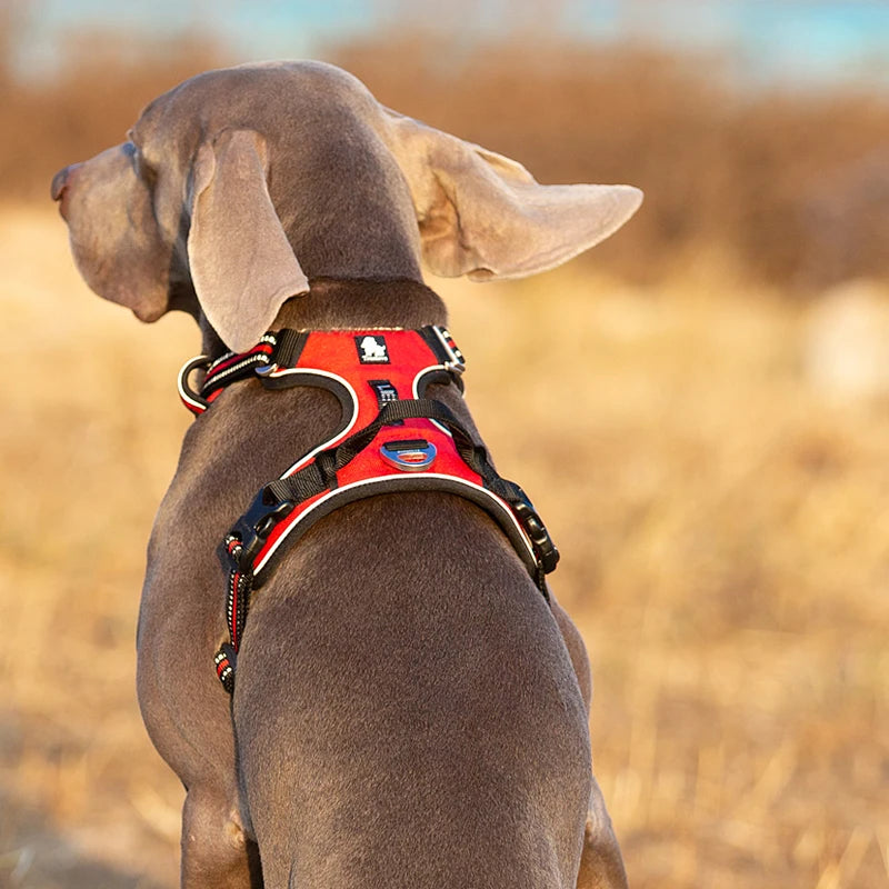 Reflective No Pull Dog Harness Adjustable Nylon Vest