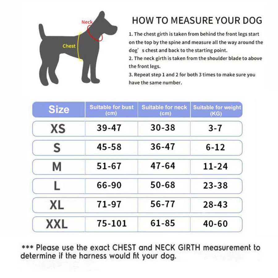 Personalized Reflective No Pull Dog Harness for Outdoor Walks