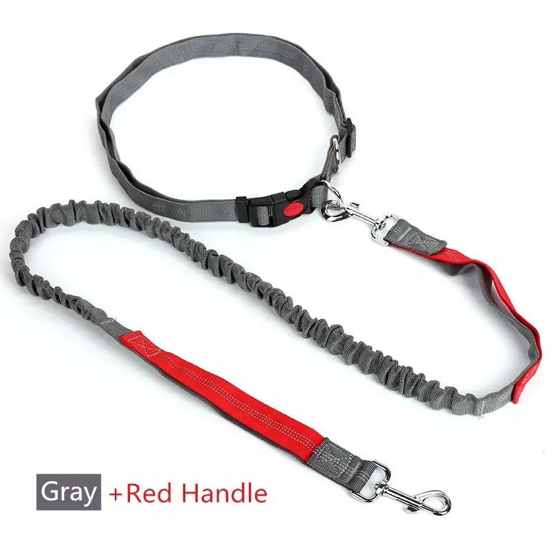 Retractable Hands Free Dog Leash With Adjustable Waist Lead