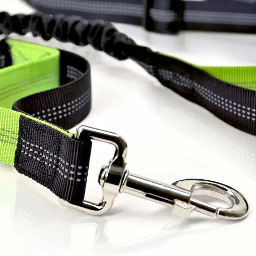 Retractable Hands Free Dog Leash With Adjustable Waist Lead