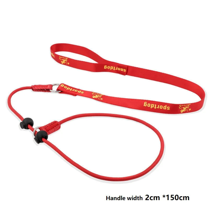 Training Dog Choking Rope Leash 2 In 1 Lead Collar