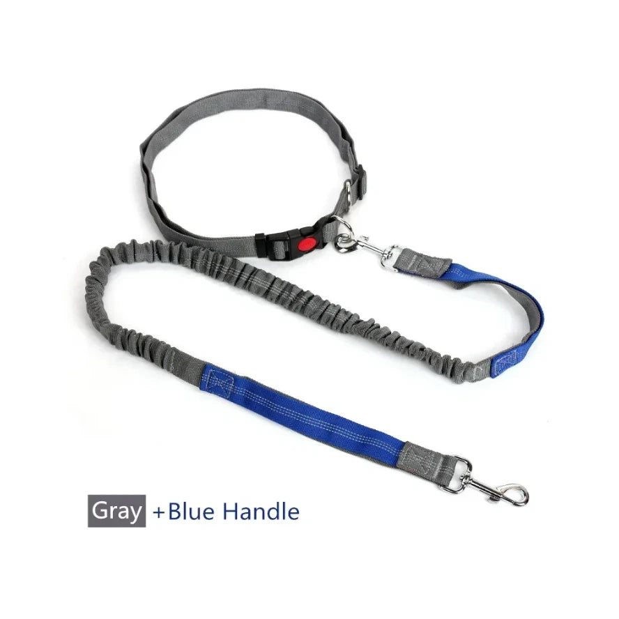 Retractable Hands Free Dog Leash With Adjustable Waist Lead