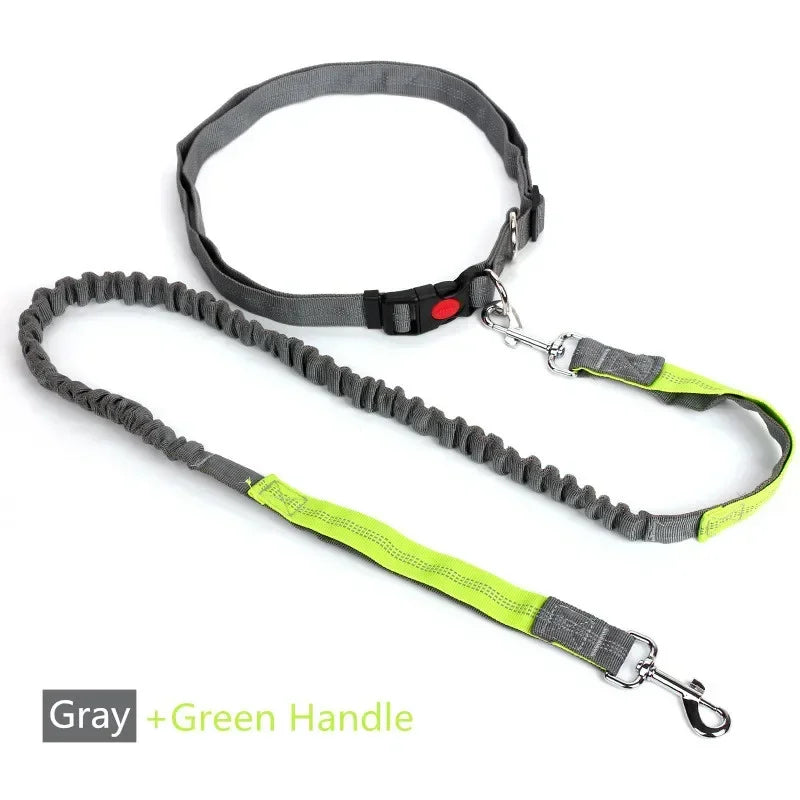 Retractable Hands Free Dog Leash With Adjustable Waist Lead