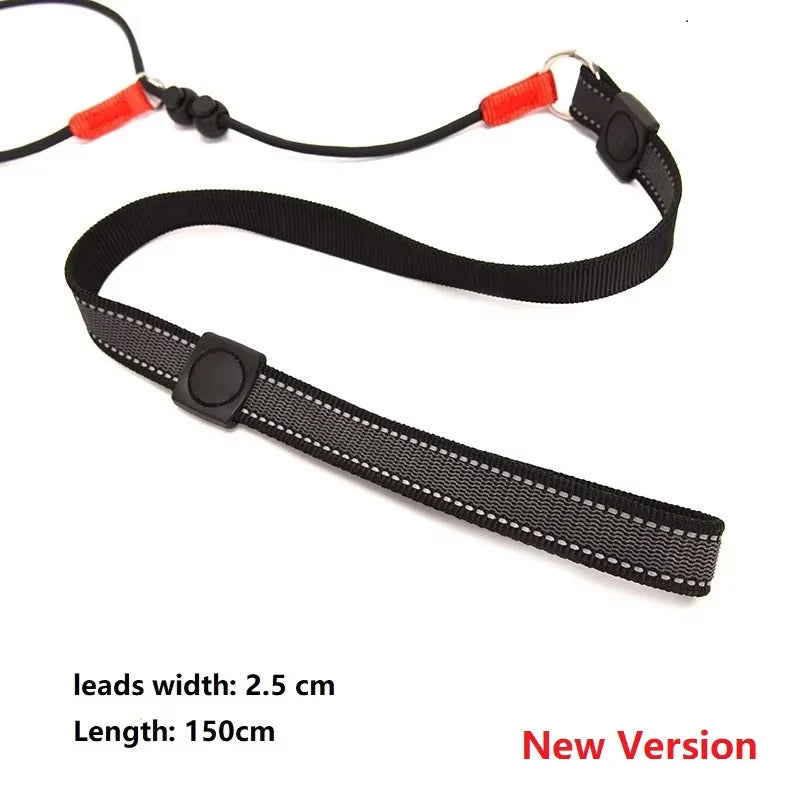 Training Dog Choking Rope Leash 2 In 1 Lead Collar