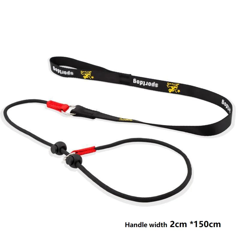 Training Dog Choking Rope Leash 2 In 1 Lead Collar
