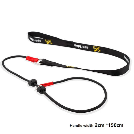 Training Dog Choking Rope Leash 2 In 1 Lead Collar