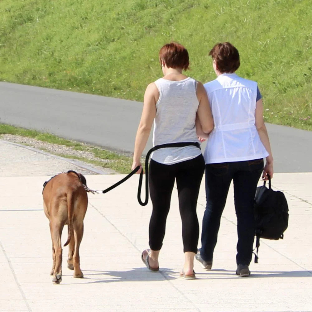 Adjustable Double Ended Dog Leash for Hands-Free Training