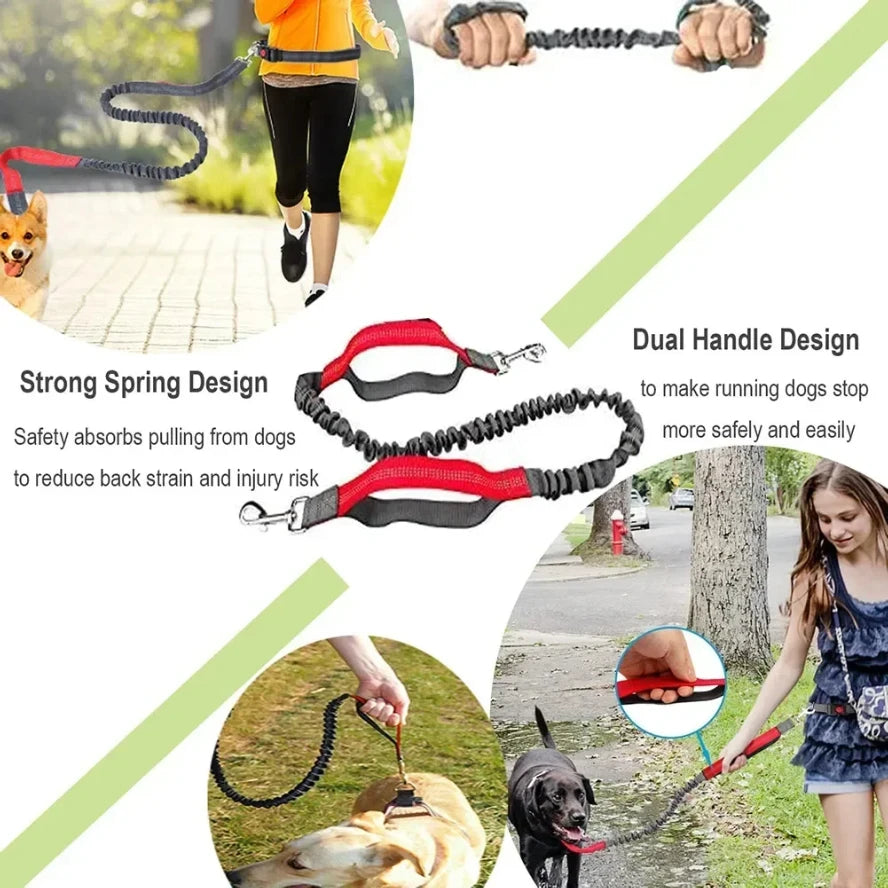 Retractable Hands Free Dog Leash With Adjustable Waist Lead