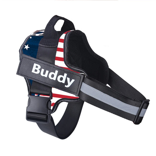 Personalized Reflective No Pull Dog Harness for Outdoor Walks