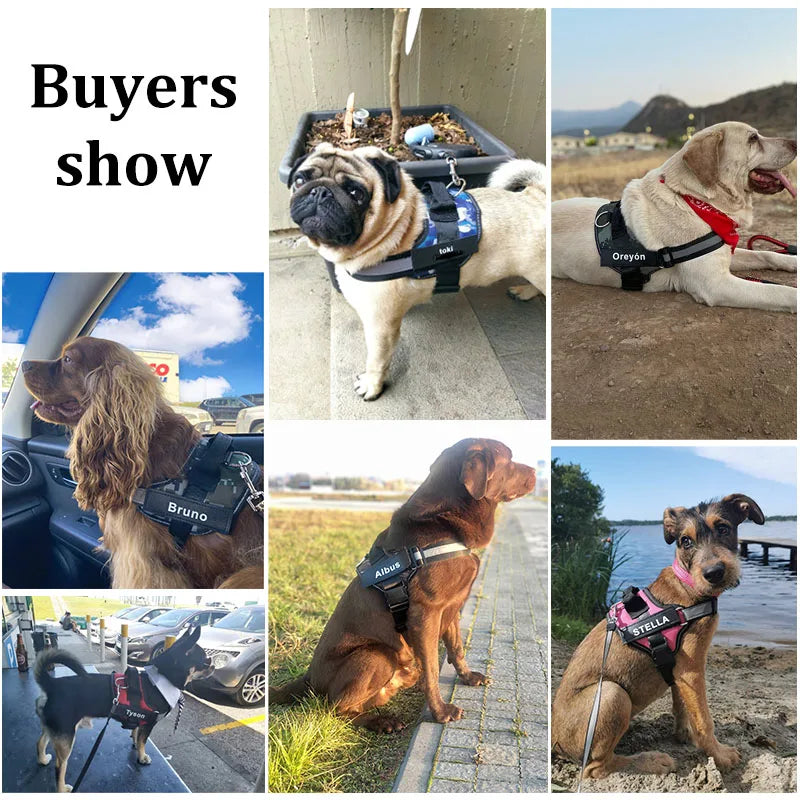 Personalized Reflective No Pull Dog Harness for Outdoor Walks