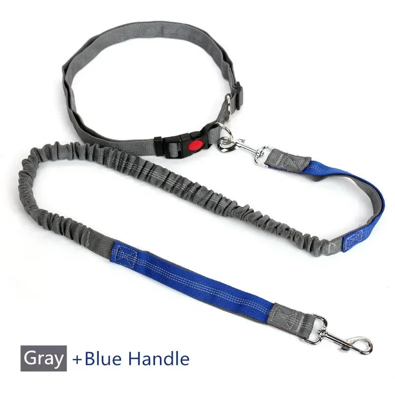 Retractable Hands Free Dog Leash With Adjustable Waist Lead