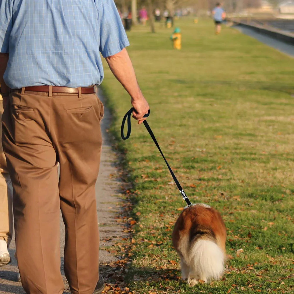 Adjustable Double Ended Dog Leash for Hands-Free Training