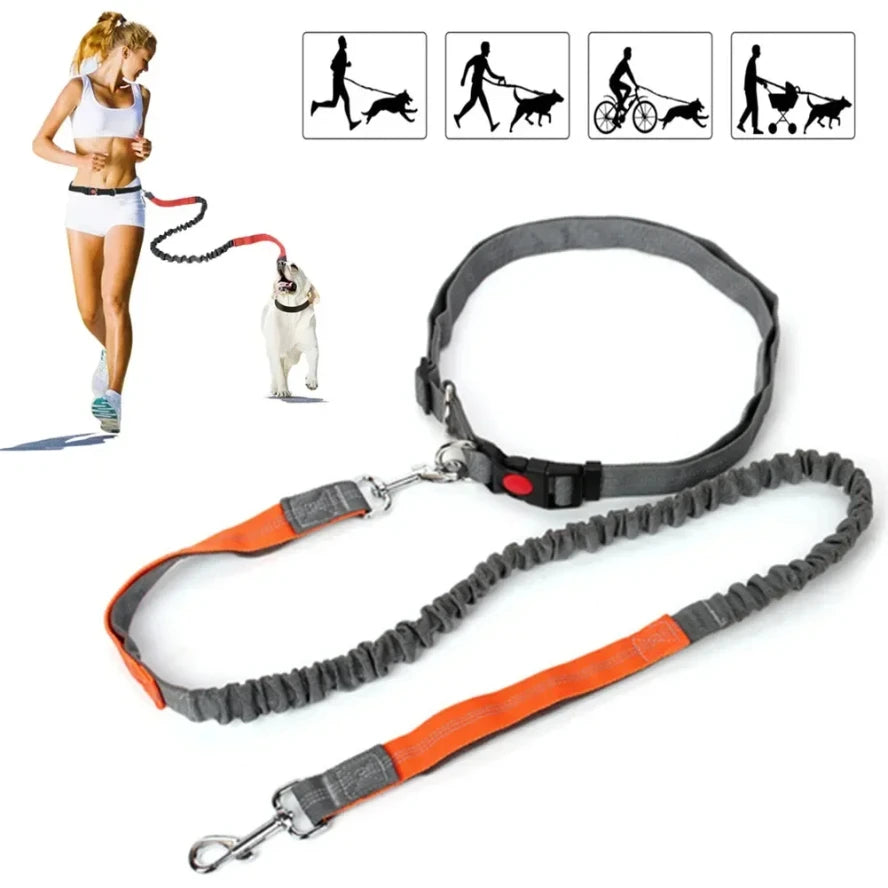 Retractable Hands Free Dog Leash With Adjustable Waist Lead