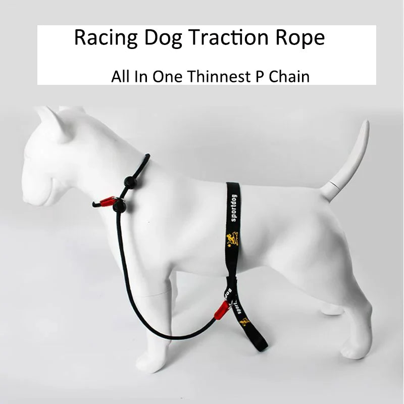 Training Dog Choking Rope Leash 2 In 1 Lead Collar