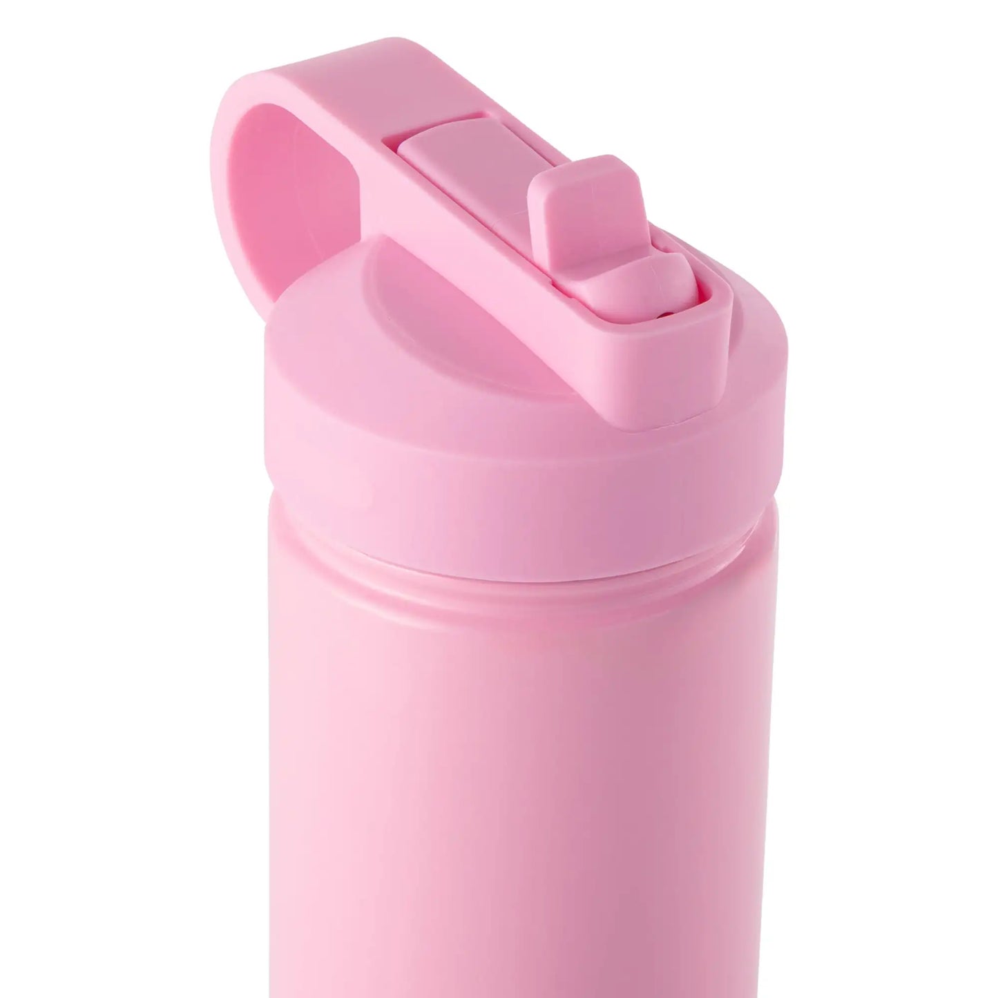 NoEnName_Null 26 oz Water Bottle with Straw Lid