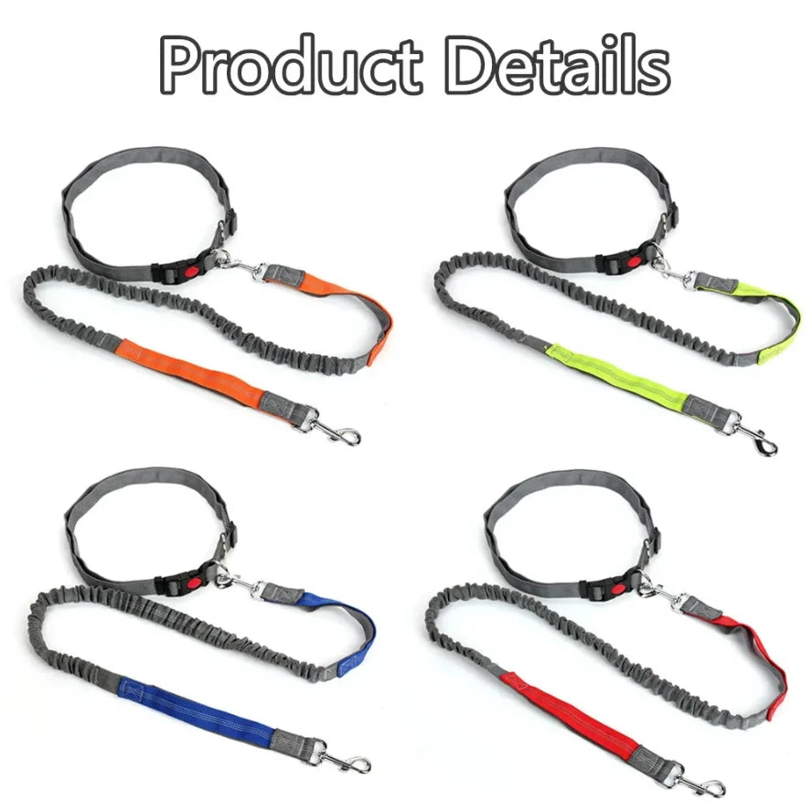 Retractable Hands Free Dog Leash With Adjustable Waist Lead