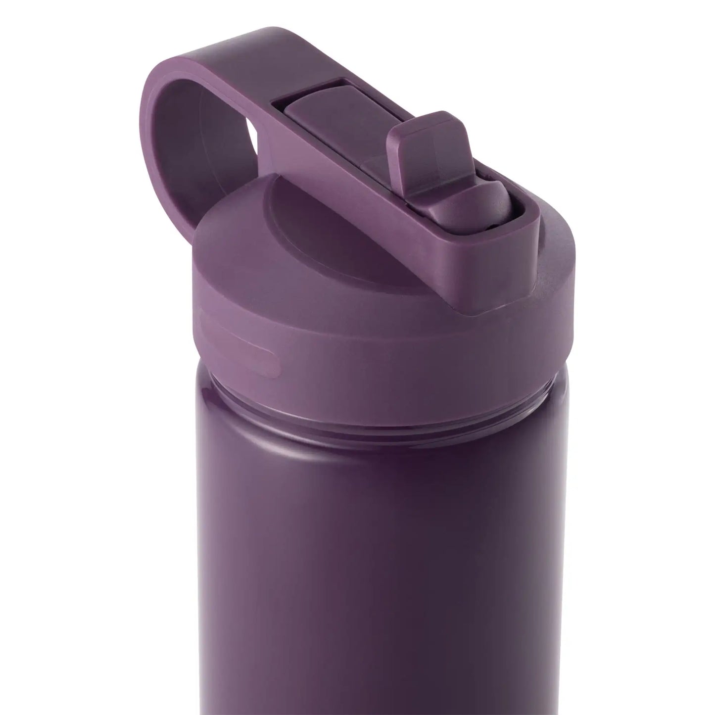 26 Ounce Purple Water Bottle with Straw Lid and Gold Charm