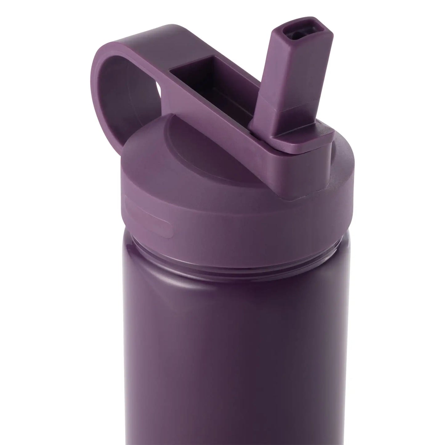 26 Ounce Purple Water Bottle with Straw Lid and Gold Charm