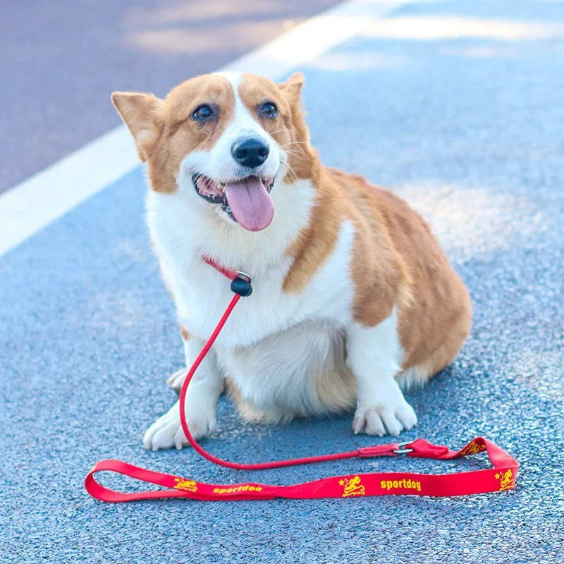 Training Dog Choking Rope Leash 2 In 1 Lead Collar