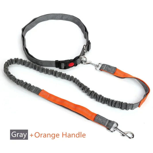 Retractable Hands Free Dog Leash With Adjustable Waist Lead